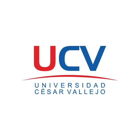 Clientes de Emma Decora de lavado de alfombras (11)